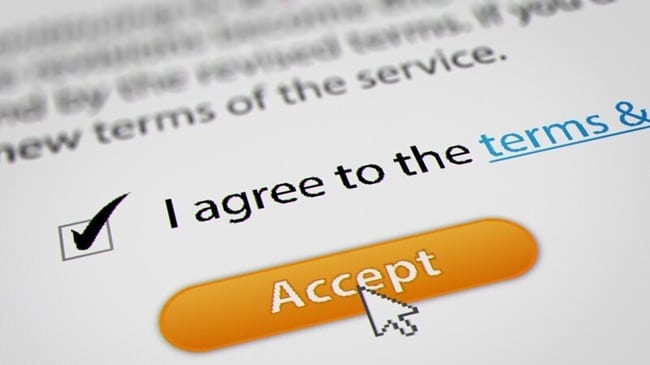 Accept Terms